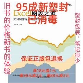 【95成新塑封已消毒】Excel图表之道 刘万祥电子工业出版社【有笔
