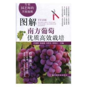 全新正版图书 图解南方葡萄优质栽培石雪晖中国农业出版社有限公司9787109259140