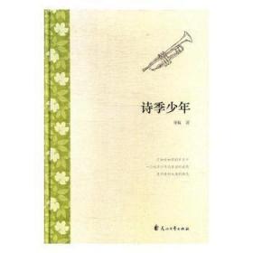 全新正版图书 诗季少年许侃花山文艺出版社9787551129176 长篇小说中国当代