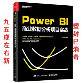 POWER BI商业数据分析项目实战 武俊敏 电子工业出版社