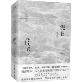 泥日（知名作家陆天明魔幻现实主义突破之作，西北荒原的壮丽家族史诗，他们从未年轻过，也只想活得好一点）