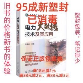 【95成新塑封消费】电力大数据技术及其应用 王继业中国电力出版