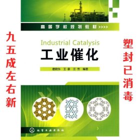 工业催化 唐晓东 化学工业出版社 9787122078452