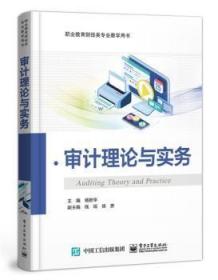 全新正版图书 审计理论与实务杨新华电子工业出版社9787121403491 计学高等学校教材本教材既可作为高职高专院校财会