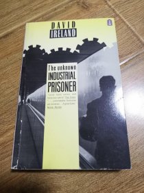 The Unknown Industrial Prisoner