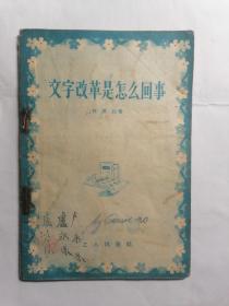文字改革是怎么回事