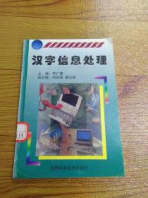 汉字信息处理