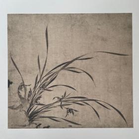 现货【元代 普明 兰花图】高仿真书画 纸本水墨卡心 顺丰包邮