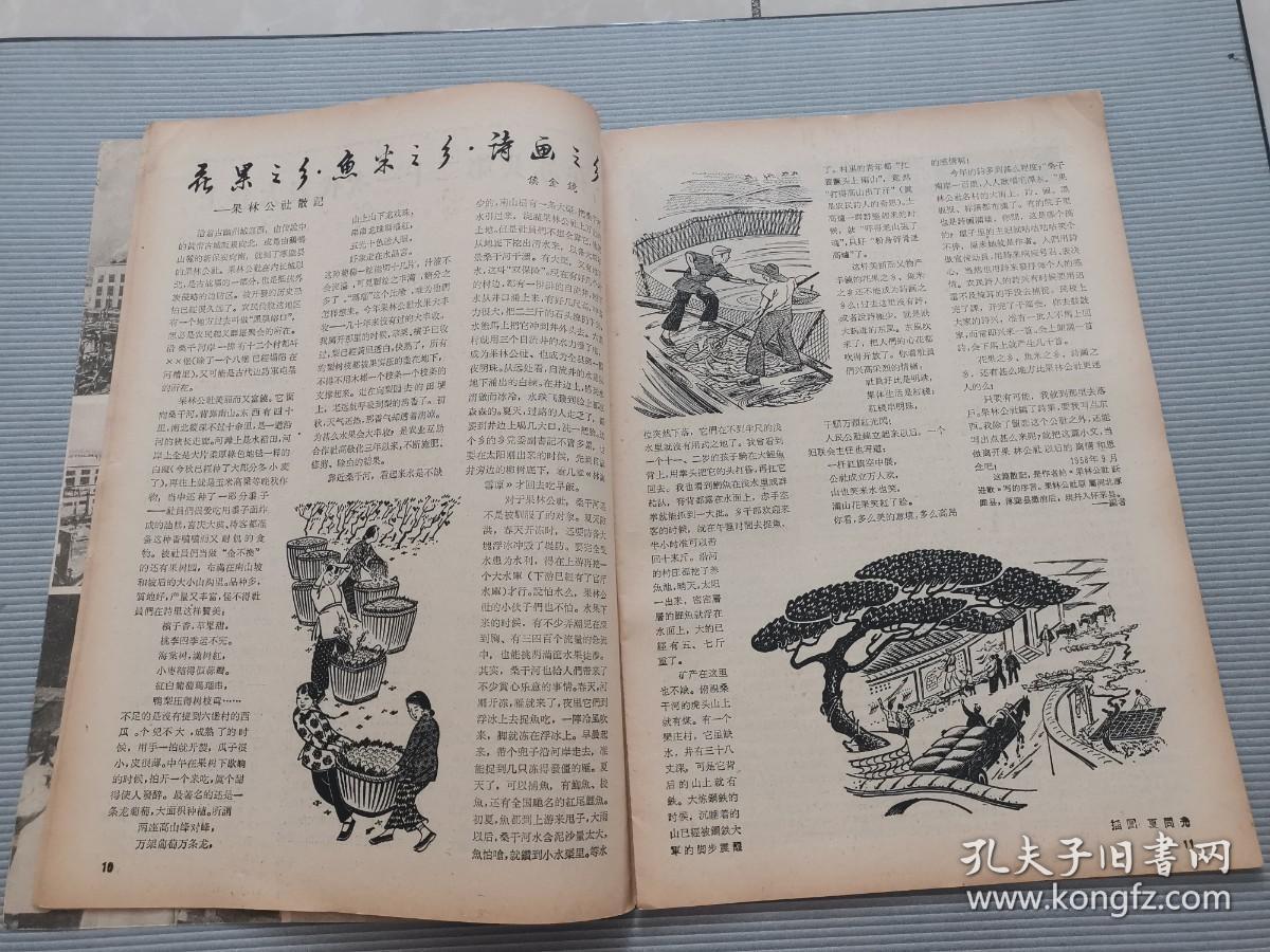 新观察(1959年第4期)_新观察杂志社_孔夫子旧书网