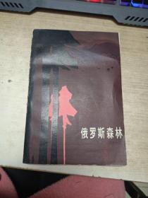 俄罗斯森林下。
