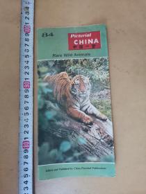 中国一瞥 84 英文版 珍贵野生动物