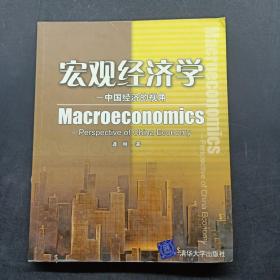 宏观经济学：中国经济的视角