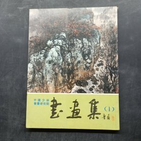 中国少林书画研究书画作品集（1）