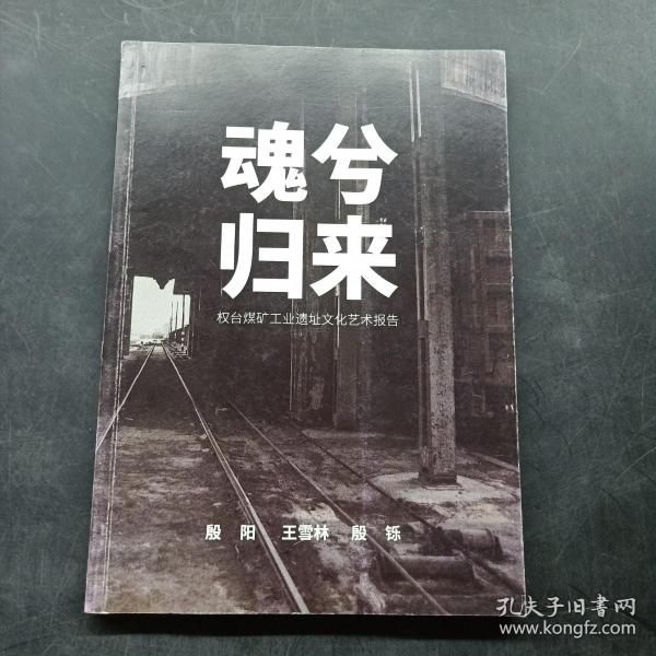 魂兮归来：泉台煤矿工业遗址文化艺术报告作者：殷阳 王雪林 殷铄出版社