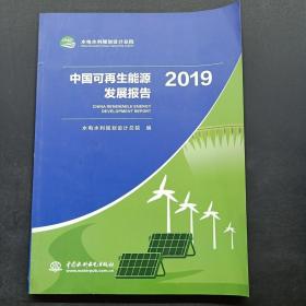 中国可再生能源发展报告2019