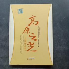 云南廉政文化系列丛书：高原之光