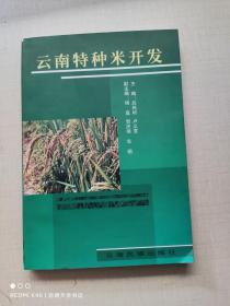云南特种米开发