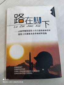 路在脚下:云南省城镇退役士兵自谋职业和农村退役士兵创业先进事迹材料选编