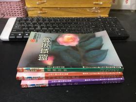 台湾于晴作品集：红苹果之恋、为你收藏片片真心、蝴蝶笨婢（3册合售）