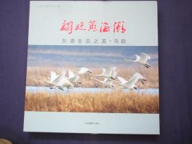 刘晓阳摄影作品集：翩跹黄海潮（东港生态之美，鸟韵）