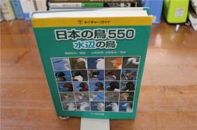日本的鸟类   日本水禽大全  收录550种鸟类   其中水禽类272种！  351页  全彩   品好包邮