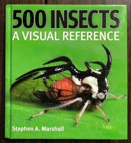 [顺丰包邮 现货]  500 Insects: A Visual Reference 500种昆虫的视觉图鉴
