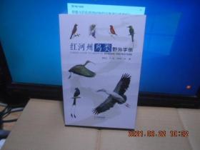 红河州鸟类野外手册