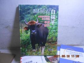 糯扎渡自然保护区稀有的白袜子 中国珍稀濒危野生动物 印度野牛