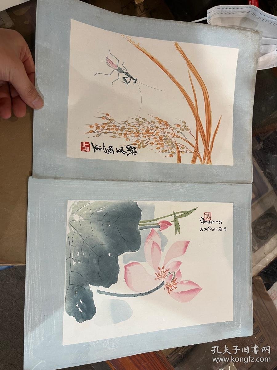 五十年代"荣宝斋"稀见木板水印精品画作《笺谱十二种》一代十二幅全