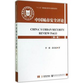 国家安全战略研究丛书：中国城市安全评论（第一卷）()