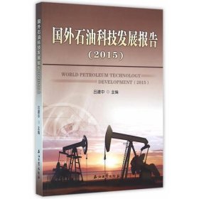 国外石油科技发展报告（2015）