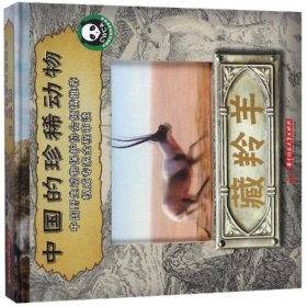藏羚羊/中国的珍稀动物系列