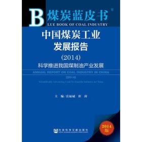 煤炭蓝皮书:中国煤炭工业发展报告（2014）