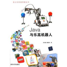 Java与乐高机器人（青少年科技创新丛书）