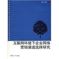 互联网环境下企业网络营销渠道选择研究