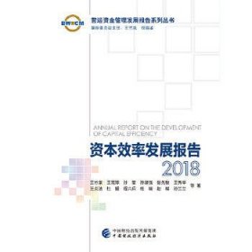 资本效率发展报告2018