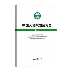 中国天然气发展报告(2019)