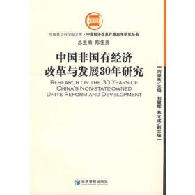 中国非国有经济改革与发展30年研究