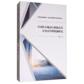 中国特大城市行政执法类公务员管理机制研究