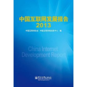 中国互联网发展报告2013