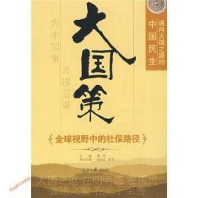 通向大国之路的中国民生:全球视野中的社保路径