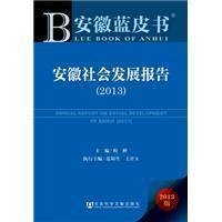 安徽社会发展报告(2013)