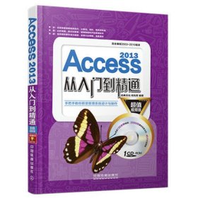 Access 2013从入门到精通(超值视频版)(含盘)
