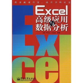 Excel 高级应用与数据分析