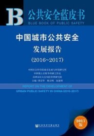 公共安全蓝皮书 ：中国城市公共安全发展报告（2016～2017）