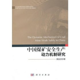 中国煤矿安全生产动力机制研究