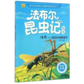 蛛蜂聪明的捕蛛猎手(彩绘美图版)