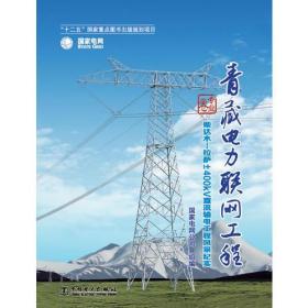 《青藏电力联网工程 专业卷 柴达木拉萨±400kV直流输电工程风采纪实》
