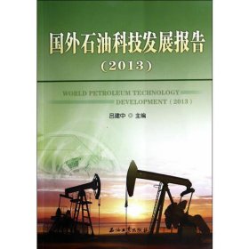 国外石油科技发展报告（2013）