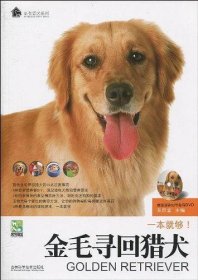 金毛寻回猎犬